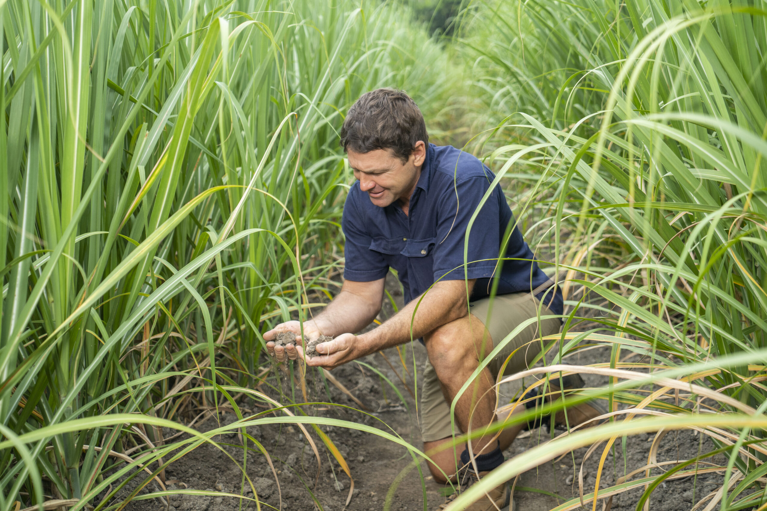 Jamie Dore's cane farm near Tully, North Queensland.