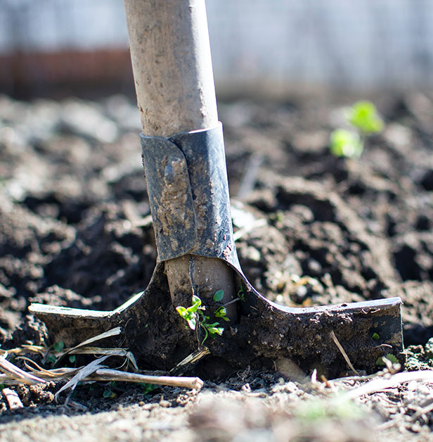 GreenCollar Soil Carbon Farming methods