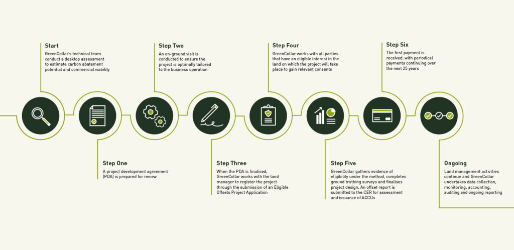GreenCollar Process Timeline