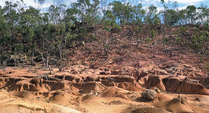 gully land management