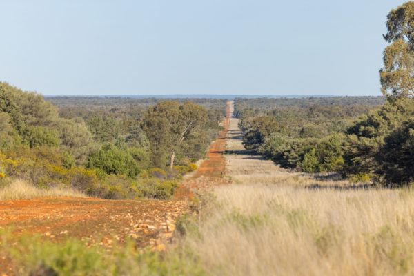 Boulkra Station, near Noona, West of Cobar in North Western, New South Wales