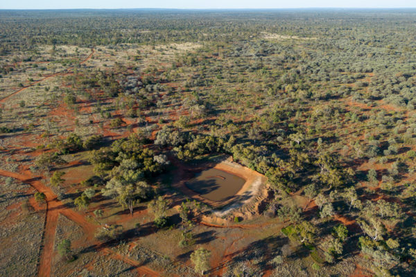 “Boulkra” Station, near Noona, West of Cobar, North Western, New South Wales
