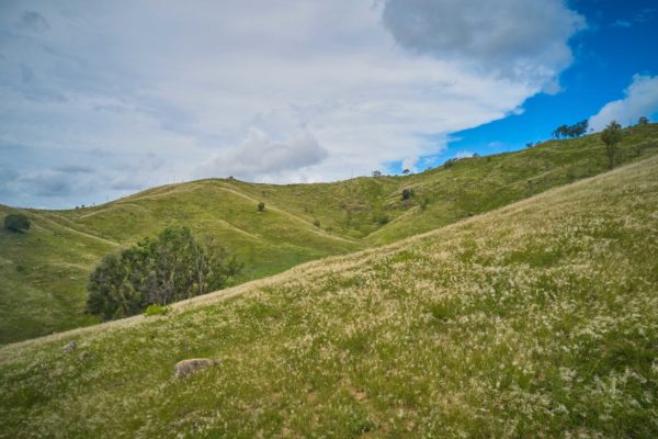 Catchment Conservation Alliance – Great Barrier Reef Initiative Site #15