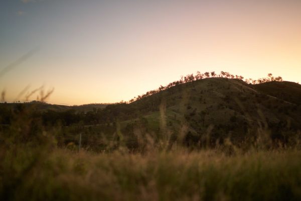 Catchment Conservation Alliance – Great Barrier Reef Initiative Site #15