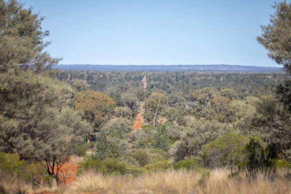 Everdale Station, Noona, West of Cobar in North Western, New South Wales