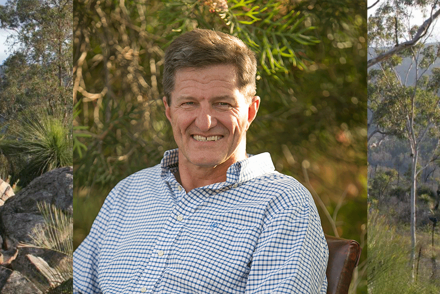 Lewis Tyndall GreenCollar