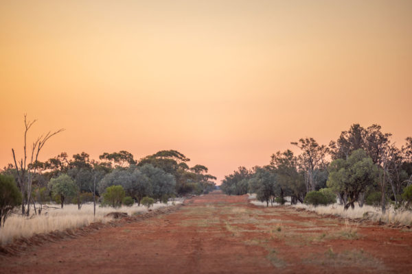 Narraport Station, Noona, West of Cobar in North Western, New South Wales