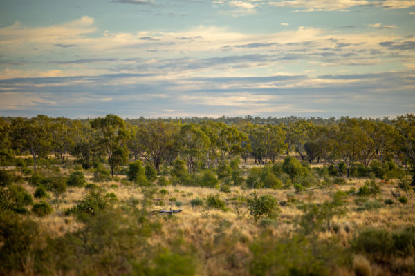 Photography of four properties in South West Queensland for Green Collar