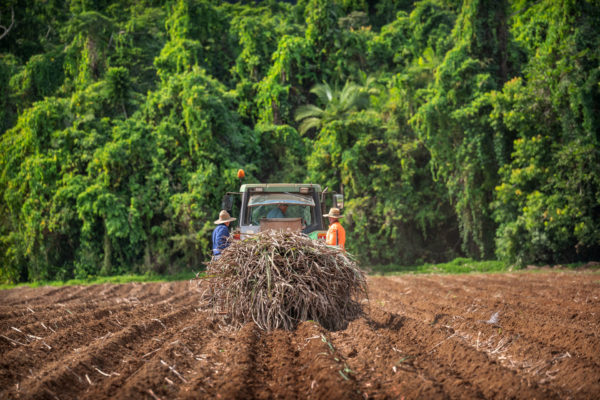 Photography of four farmers in the Innisfail and Euramo districts for Keep Left and Green Collar for the Reef Credits scheme.